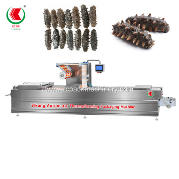 Sea Cucumber Thermoforming Vacuum Packaging Machine